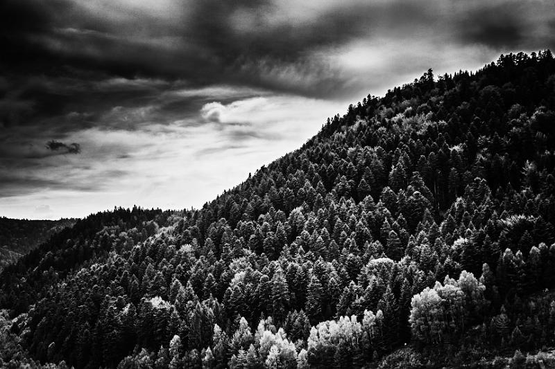 2017_08_24_Vosges (0095)b-w.jpg - lac de la Pierre Percée (Vosges 2017)